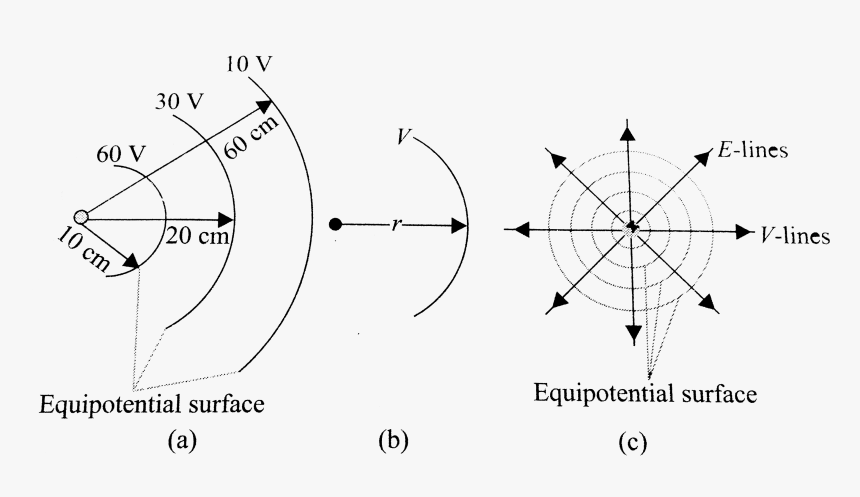 Circle, HD Png Download