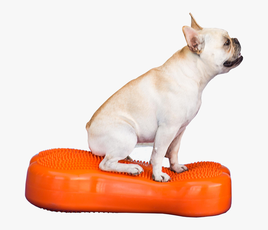 French Bulldog, HD Png Download
