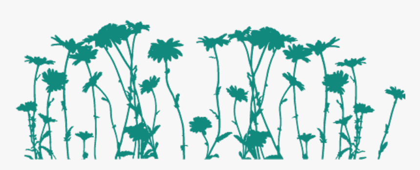 Freetoedit Png Flowers With A Transparent Background - Png Daisy, Png Download