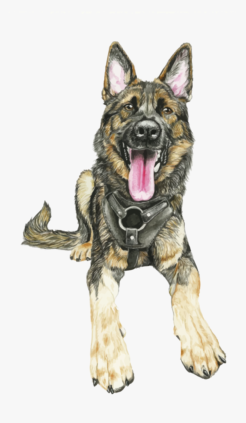 Transparent German Shepherd Png - Shiloh Shepherd Dog, Png Download