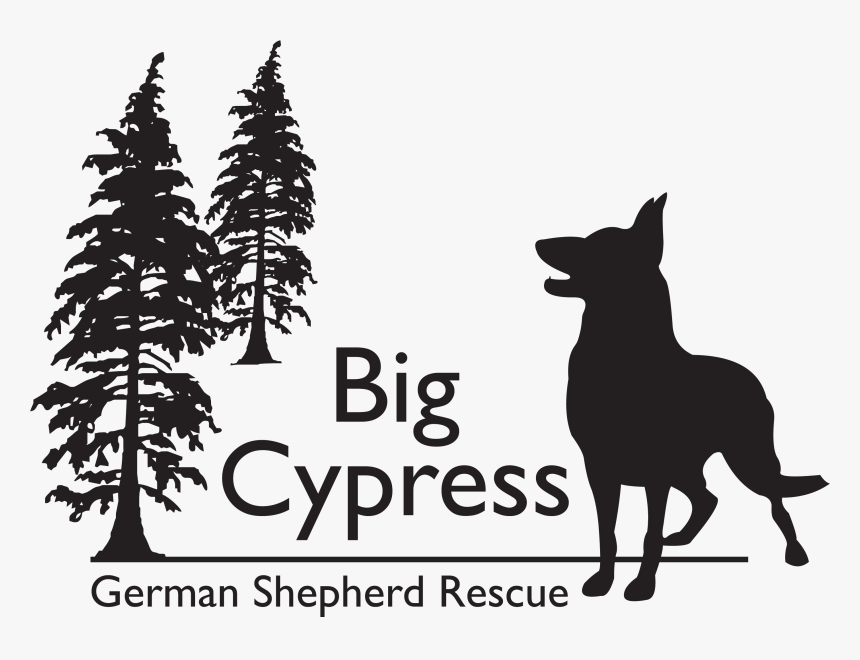Big Cypress German Shepherd Rescue, HD Png Download