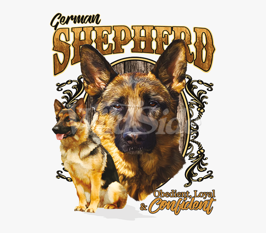 Hd King Free Unlimited - Old German Shepherd Dog, HD Png Download