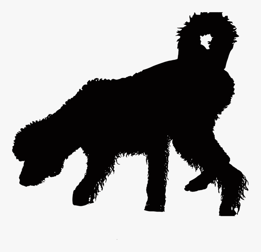 Silhouette Wet Dog, HD Png Download