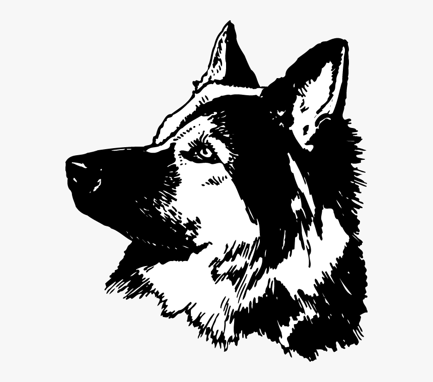 German Shepherd Graphic - German Shepherd, HD Png Download