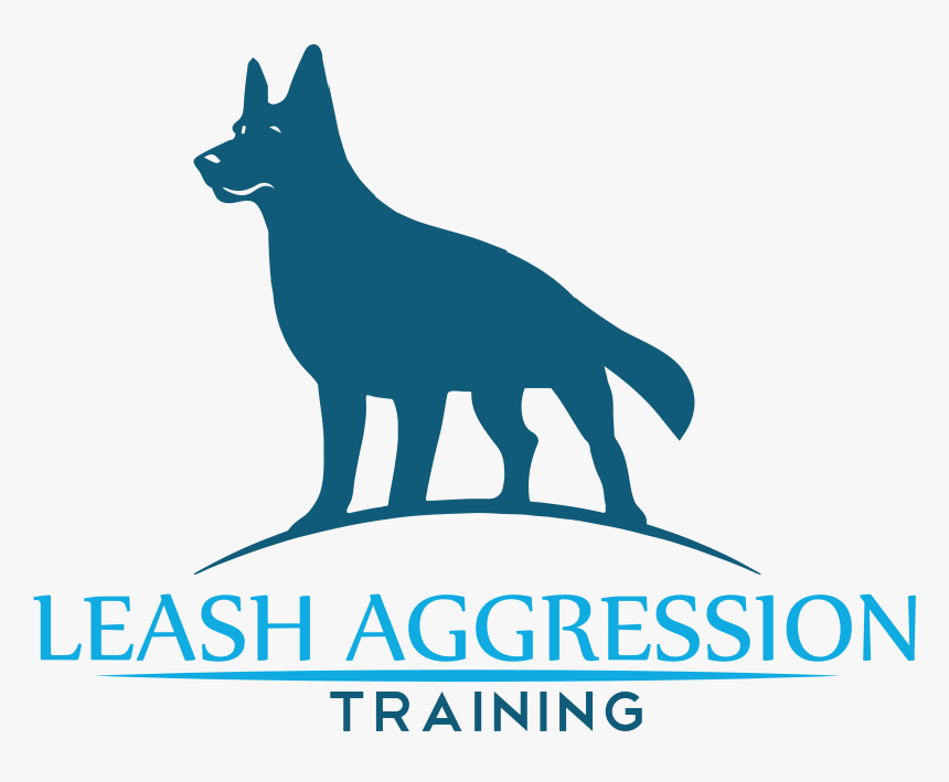A Beginners Guide To Leash Reactivity, HD Png Download