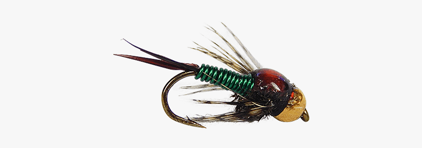 Copperloo Green - House Fly, HD Png Download