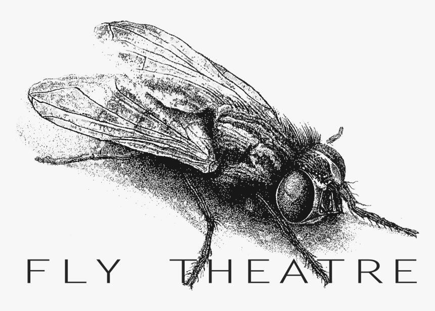 House Fly, HD Png Download
