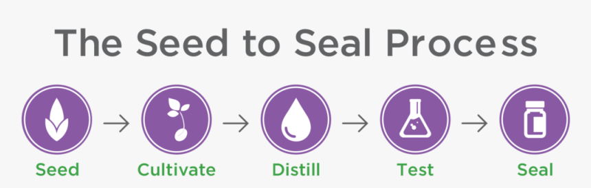 Seed To Seal Png - Edsa Revolution, Transparent Png