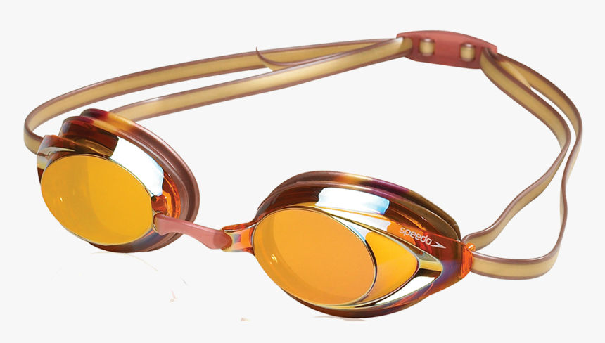 Speedo Maroon And Gold Vanquisher - Glasses, HD Png Download