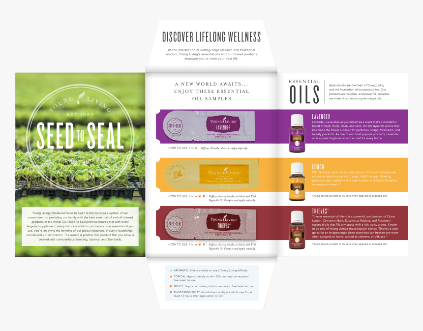 Samples - Yl Share App Samples, HD Png Download