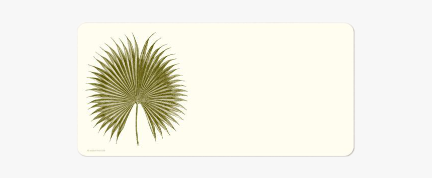 Alexa Pulitzer Palm Monarch Note Cards - Circle, HD Png Download
