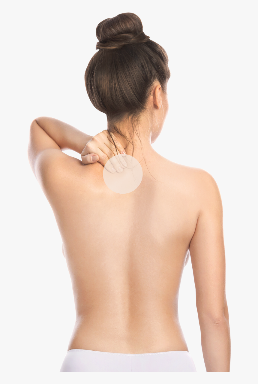 Aplasia Medular Sintomas, HD Png Download