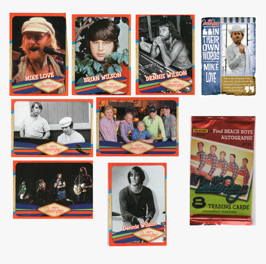 Brian Wilson, HD Png Download , Transparent Png Image - PNGitem