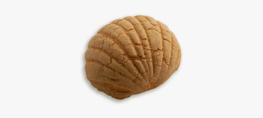 Cinnamon Concha - Peanut Butter Cookie, HD Png Download