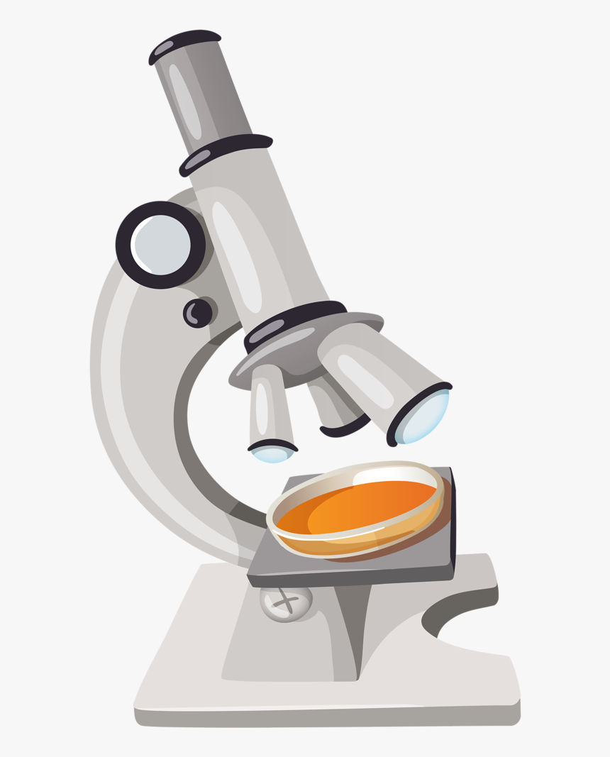 Focus A Microscope Infographic, HD Png Download
