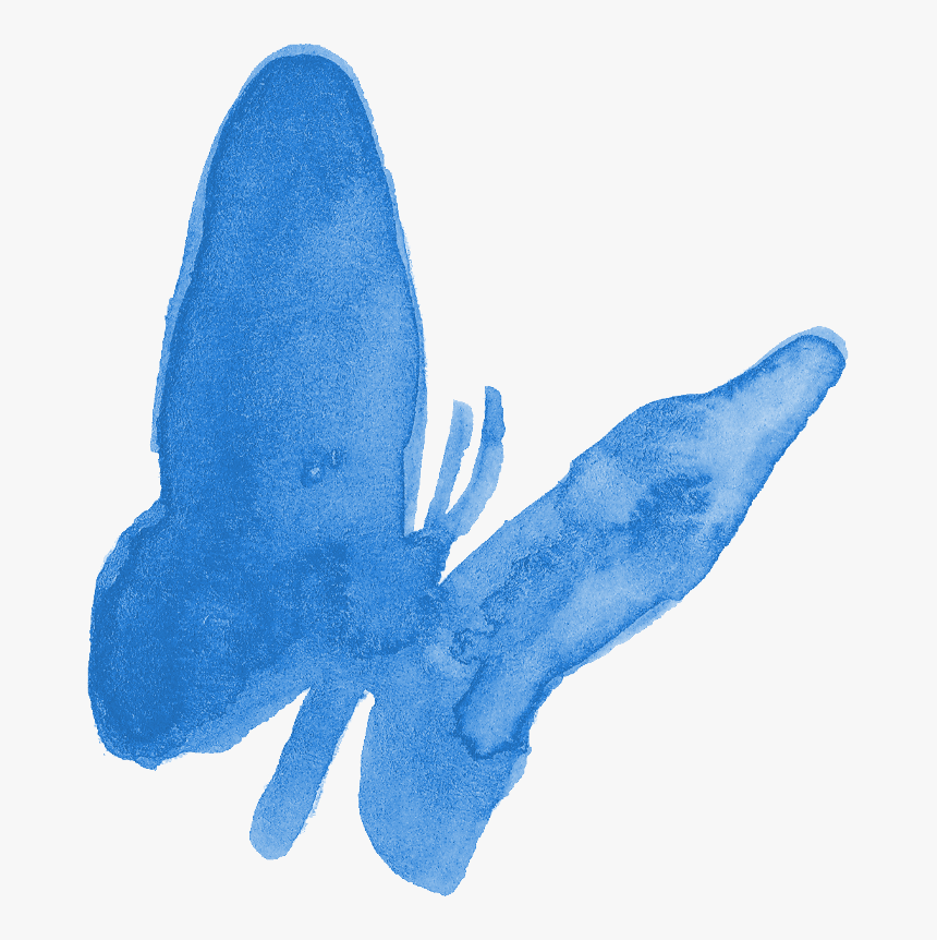 Squid, HD Png Download