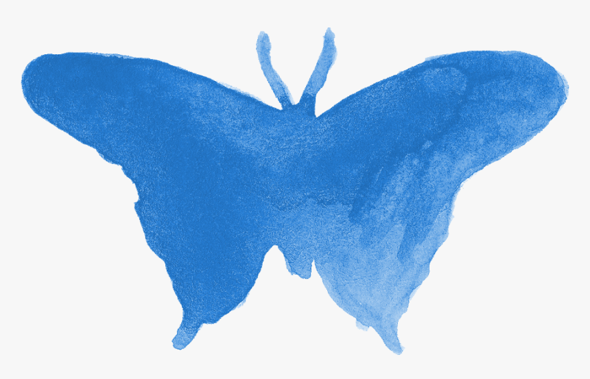 Butterfly, HD Png Download