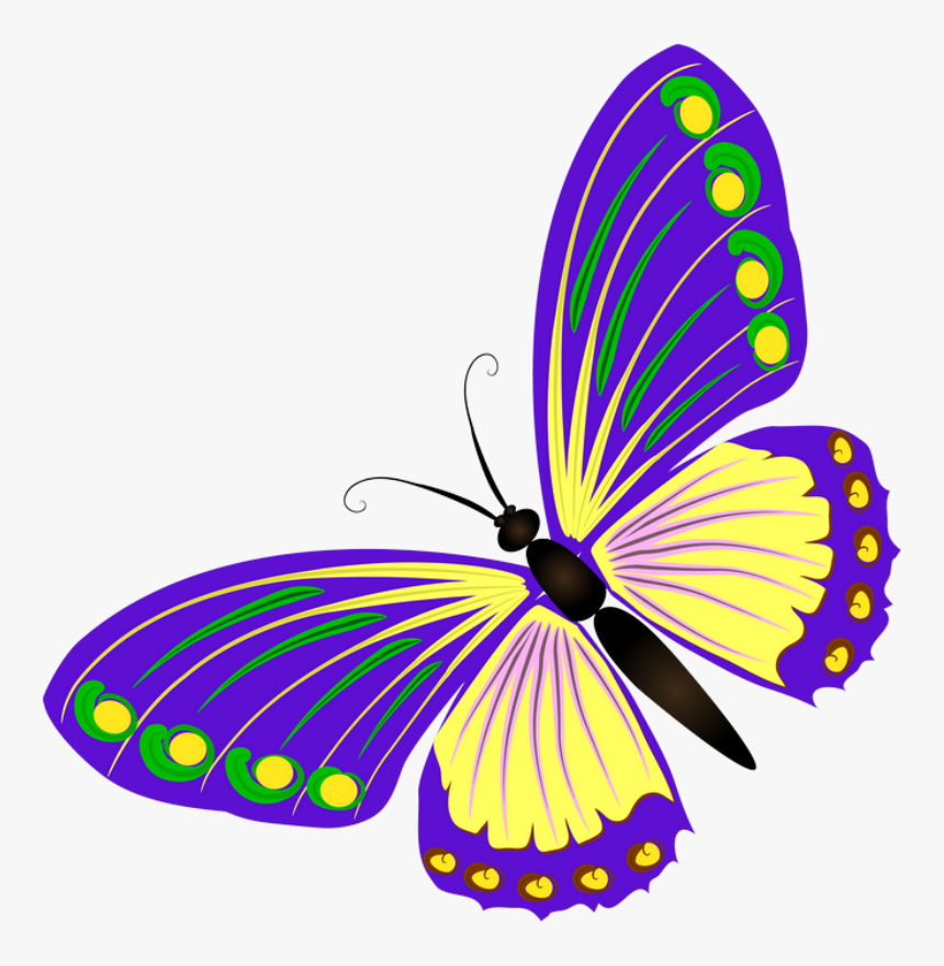 ‿✿⁀butterflies‿✿⁀ Butterfly Clip Art, Watercolor Cards, - Бабочка Картинка Без Фона, HD Png Download