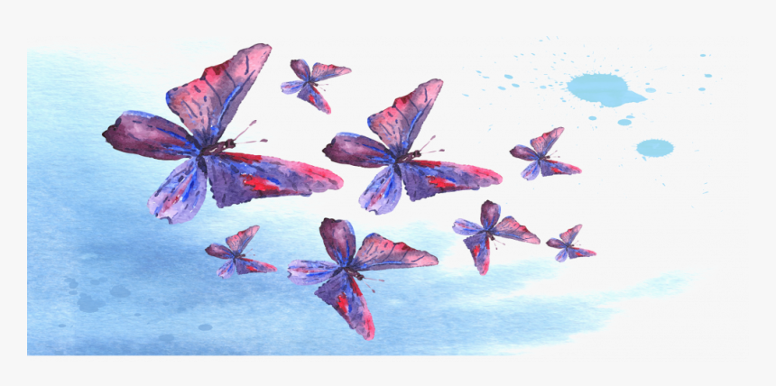 Polyommatus, HD Png Download