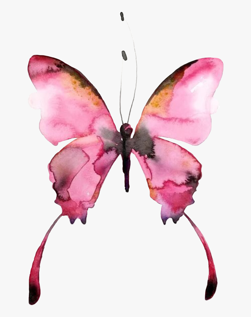#butterfly #watercolor #picture @pilikfrosya #freetoedit - Butterfly Watercolor Art, HD Png Download