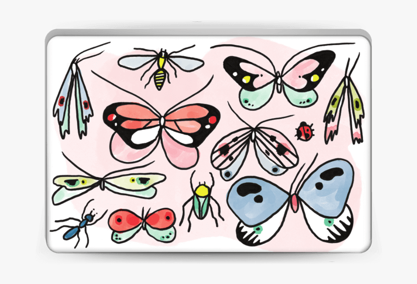 Insects - Lycaenid, HD Png Download