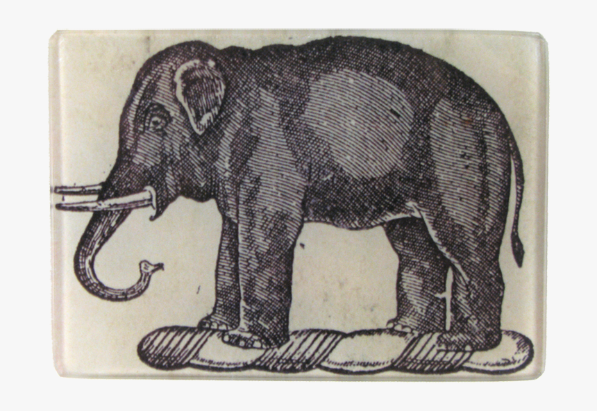 Indian Elephant, HD Png Download