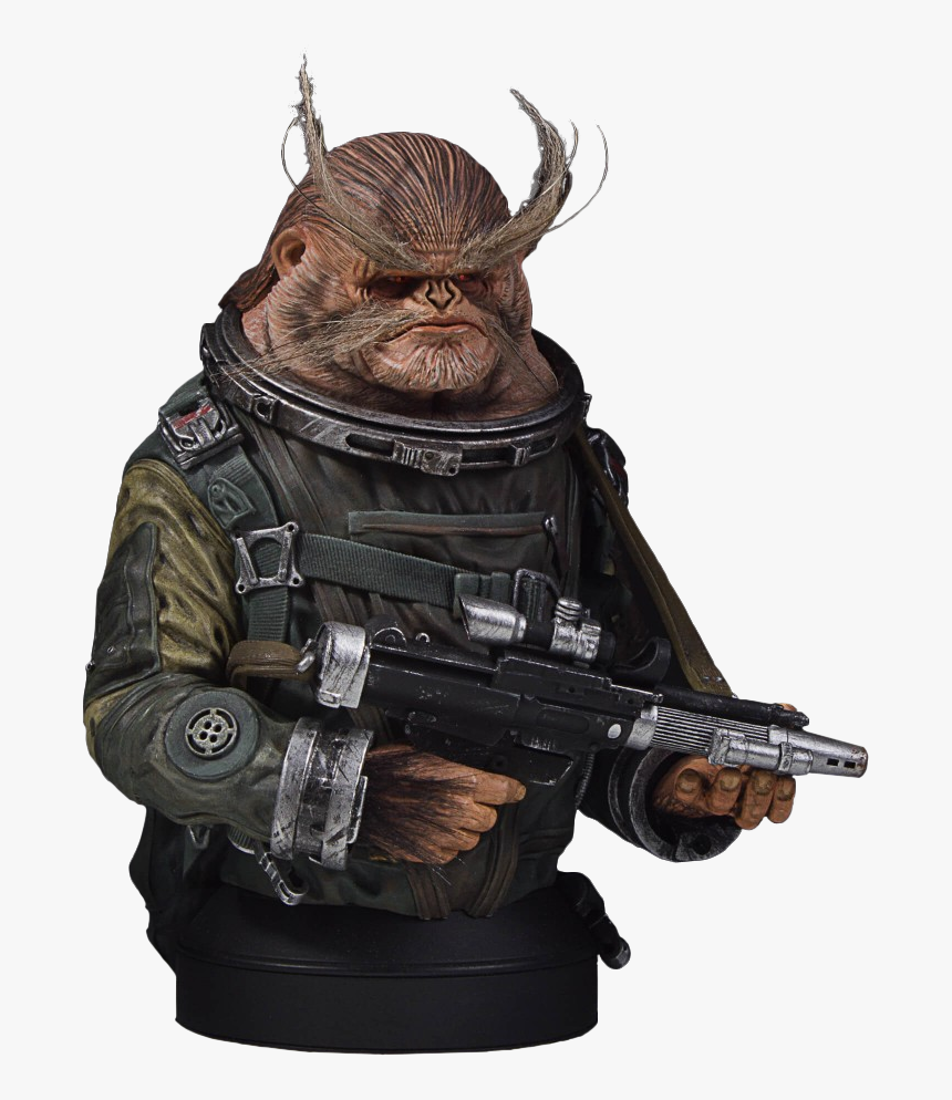 Rogue One - Bust, HD Png Download