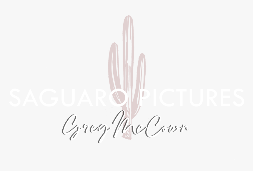 Calligraphy, HD Png Download