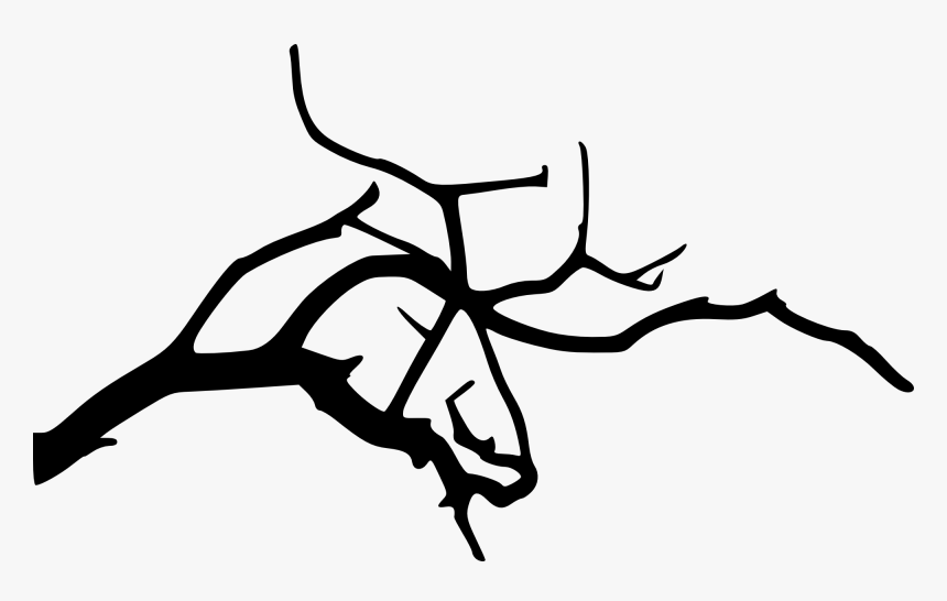 Rama De Arbol Png, Transparent Png