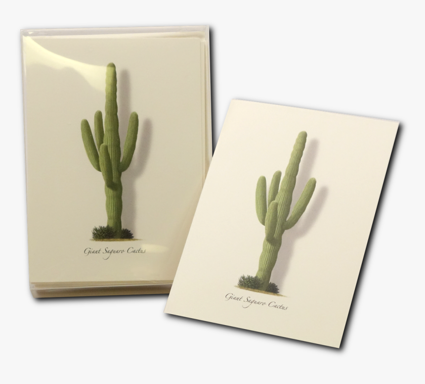 Shopping Cart -  -  - Hedgehog Cactus - San Pedro Cactus, HD Png Download