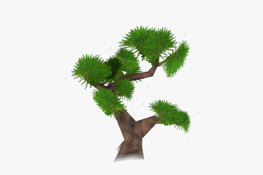 Sabal Palmetto, HD Png Download