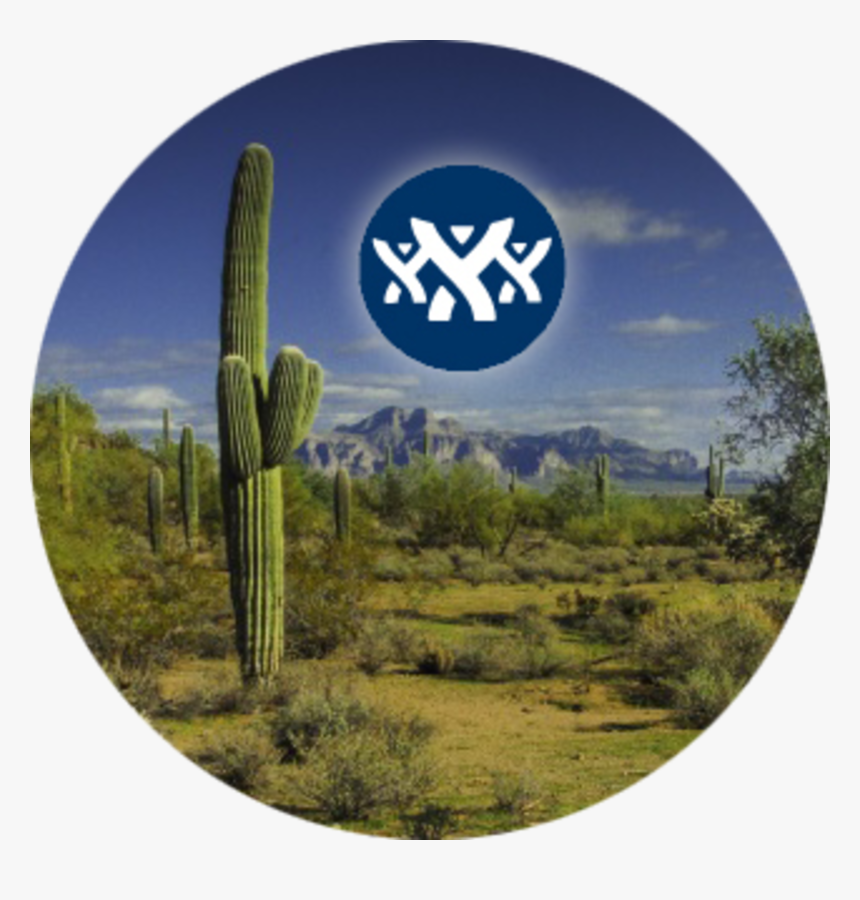 Atlassian User Groups Phoenix - San Pedro Cactus, HD Png Download