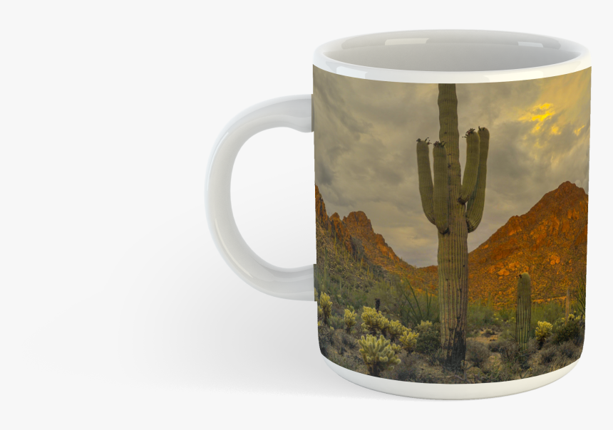 Beer Stein, HD Png Download