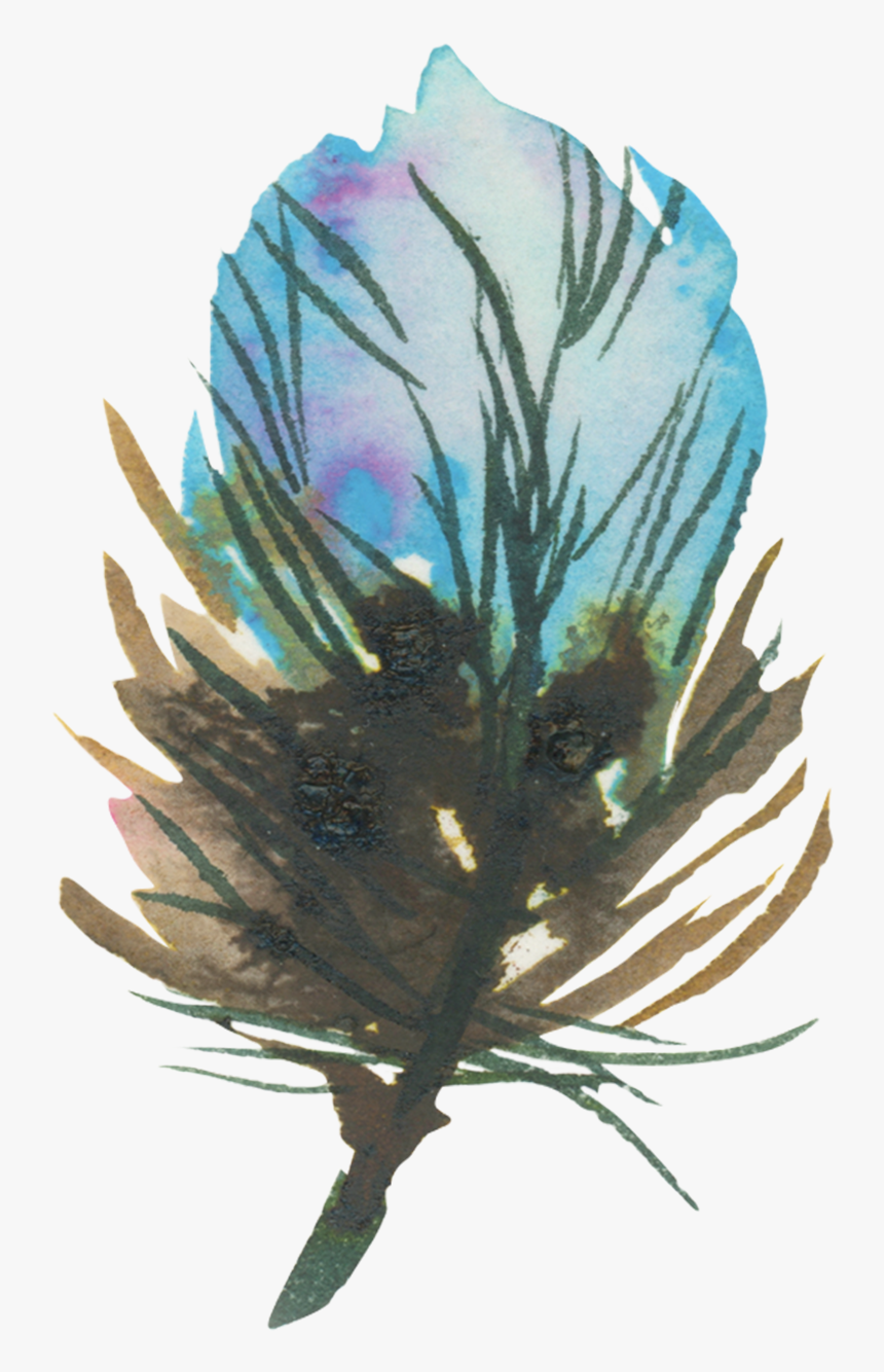 Tattly, HD Png Download