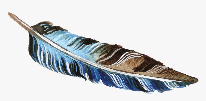 Brown And Blue Feather Transparent Decorative - Canoe, HD Png Download
