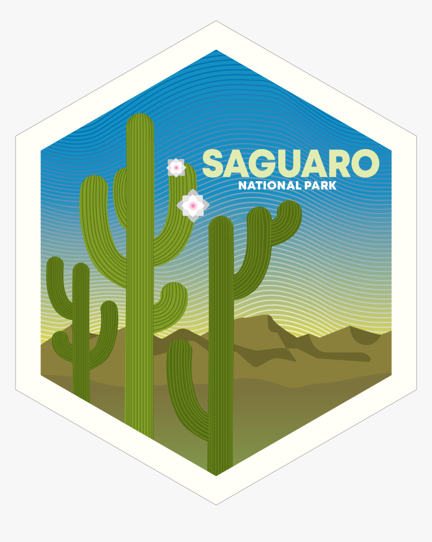 Clean Np Badge - Illustration, HD Png Download