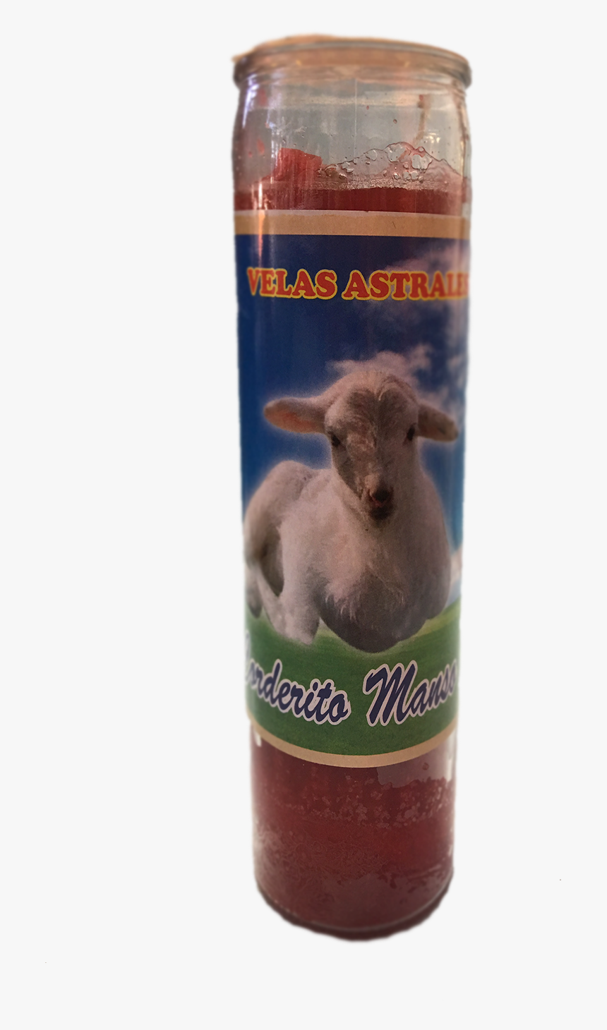 Bison, HD Png Download