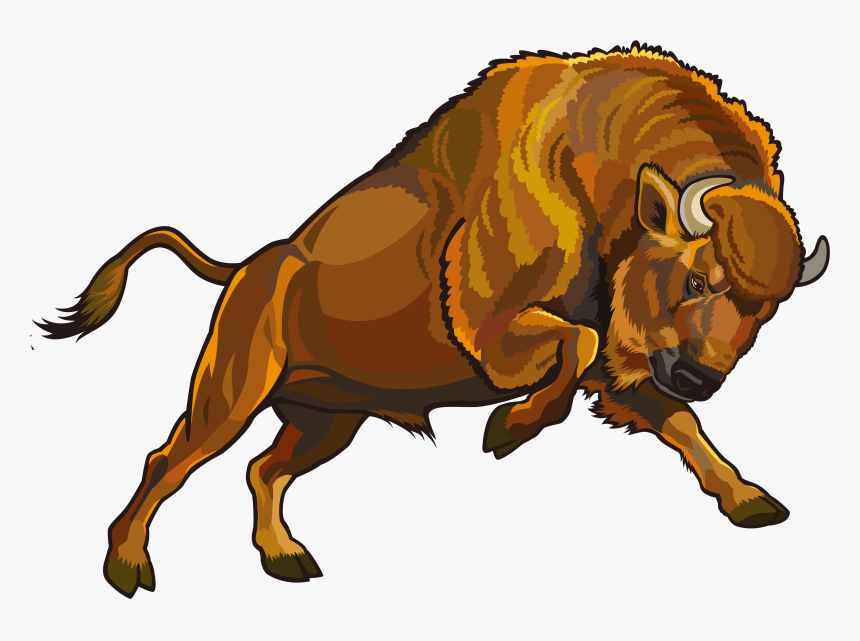 M Bison Png, Transparent Png