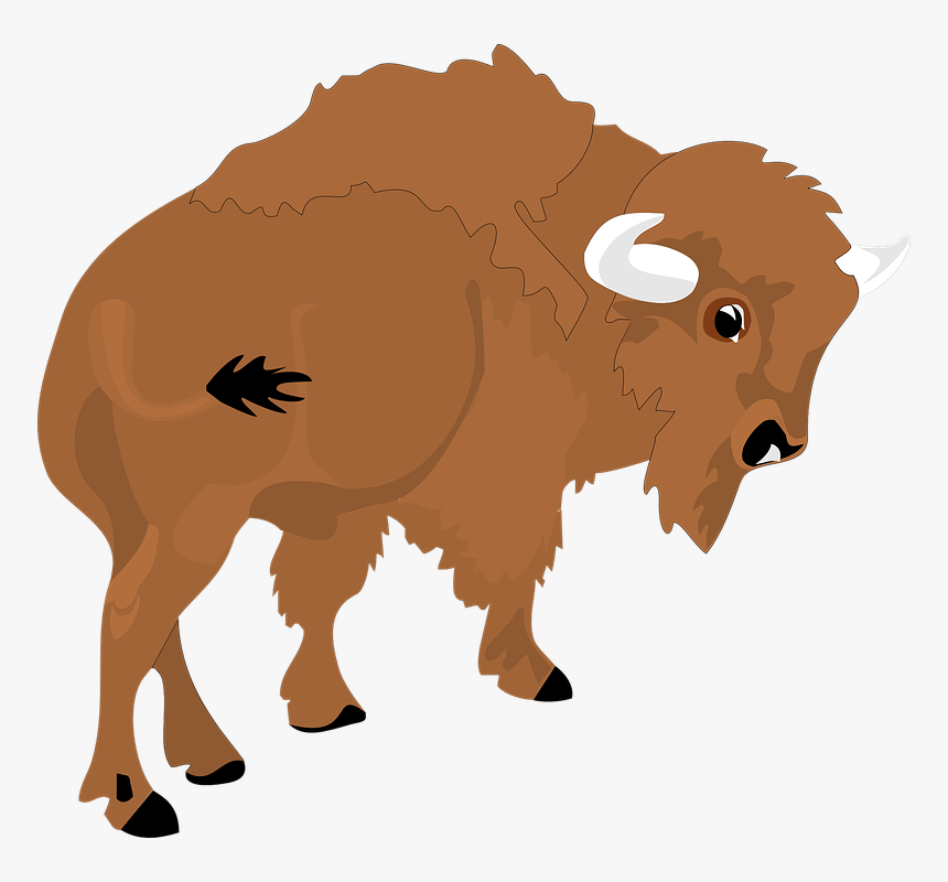 Bison Clipart Png, Transparent Png
