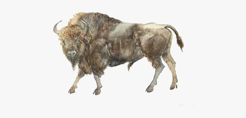 Sheep 3d Model, HD Png Download