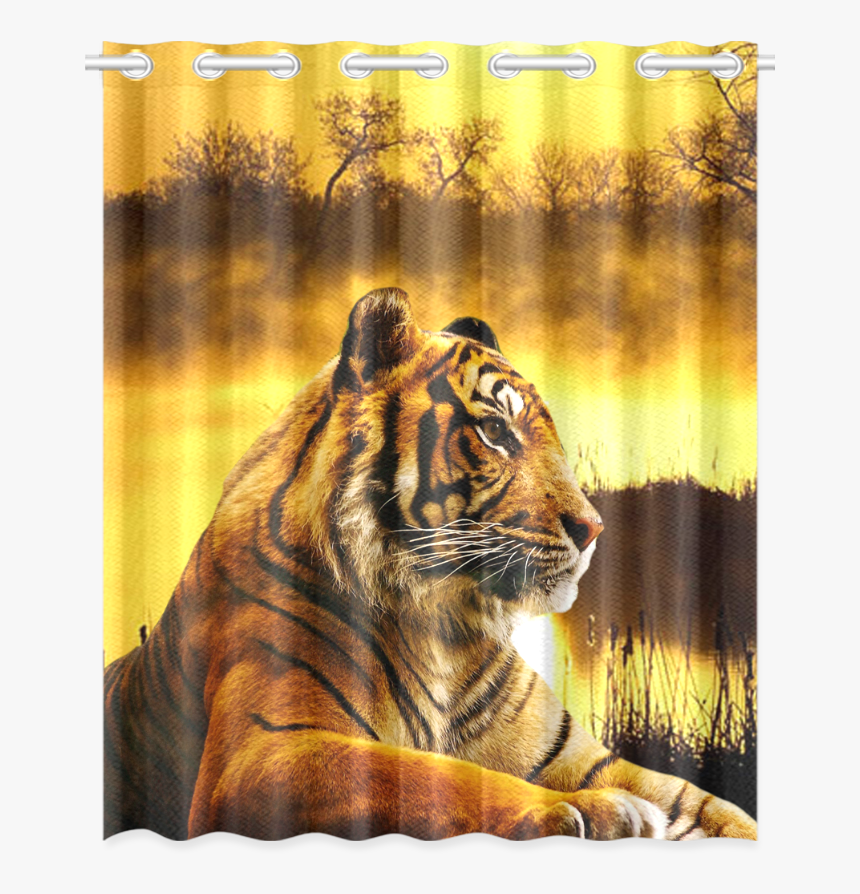 Tiger And Sunset New Window Curtain - London Zoo, HD Png Download