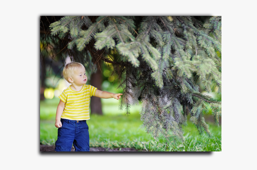 Placeholder Image - Toddler, HD Png Download