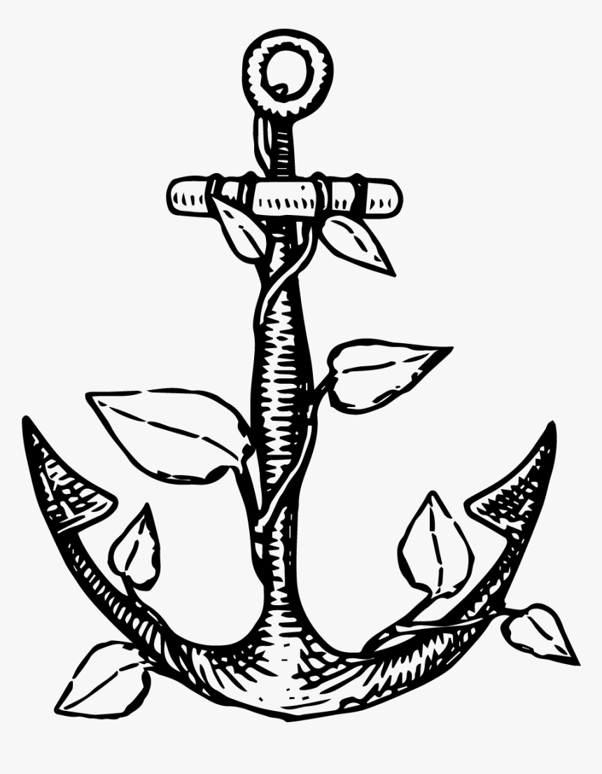 Anchor Roots, HD Png Download