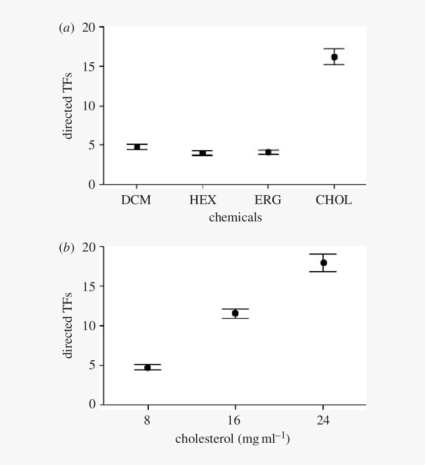 Screenshot, HD Png Download