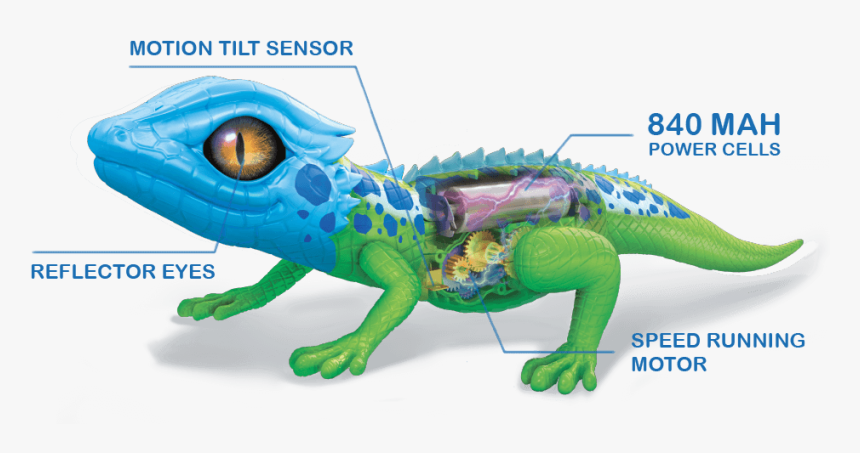 Robo Alive, HD Png Download