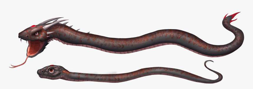 Earthworm, HD Png Download