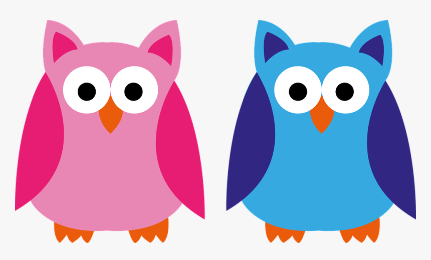 Owl, Blue, Pink, Boy, Girl, Application, Forest Animal - Meme Menina Veste Rosa, HD Png Download
