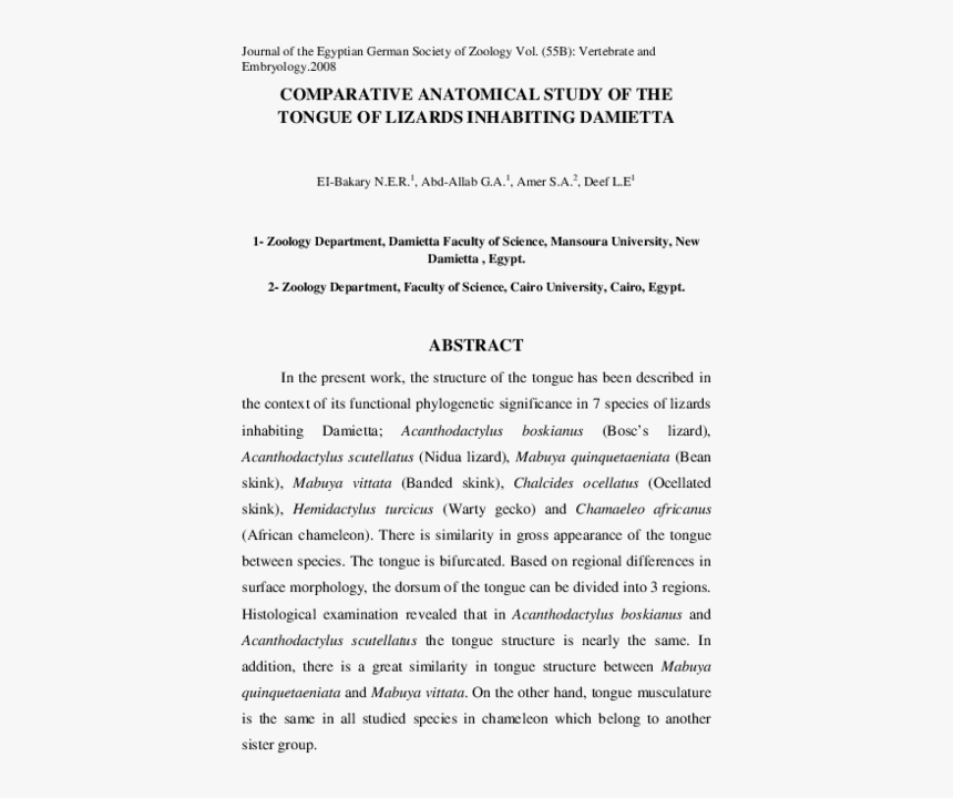 Document, HD Png Download