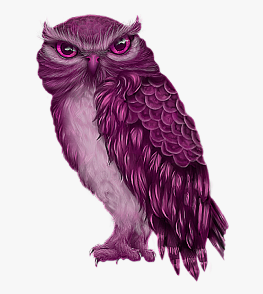 Freetoeddit Pink Owl Hd Png Download Transparent Png Image Pngitem