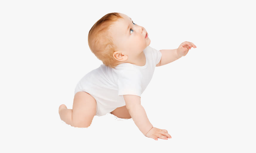 Infant Child Crawling - Fan, HD Png Download